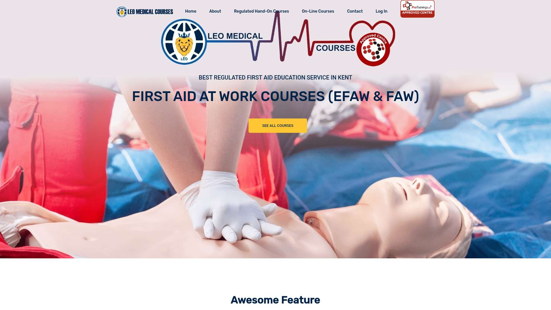 Leo Medical Courses